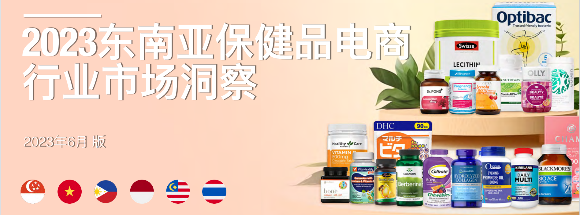 2023东南亚保健品电商行业市场洞察报告