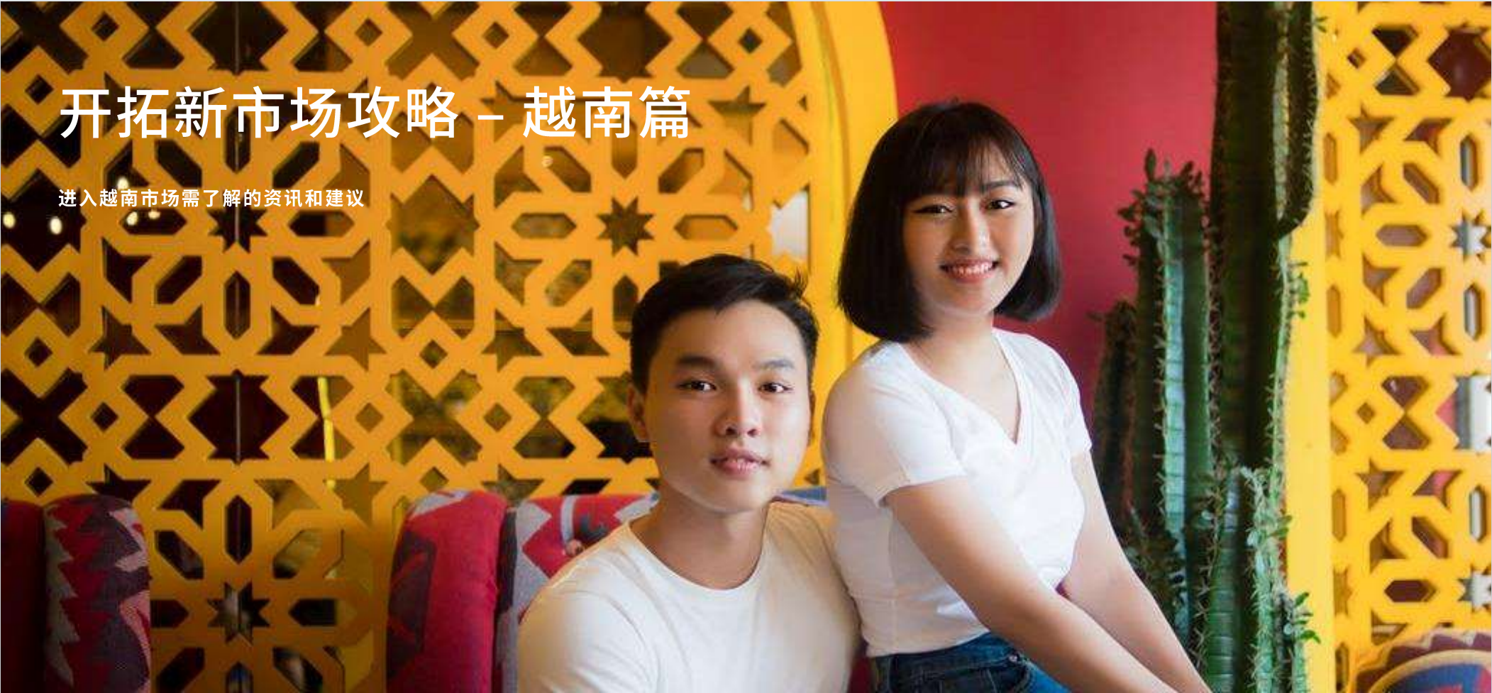 开拓新市场攻略-越南篇-进入越南市场需了解的资讯和建议